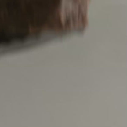 DESMECHADOR DE POLLO O CARNE